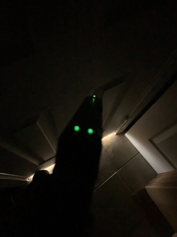 GLOCK 19X | G19X for Sale - Image 7