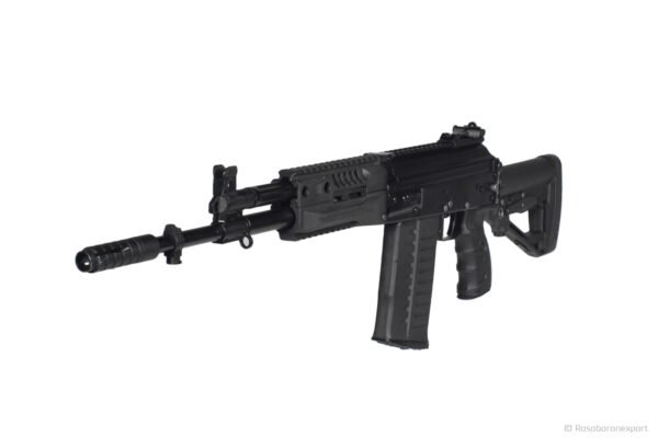 Kalashnikov Assault Rifle AK-308